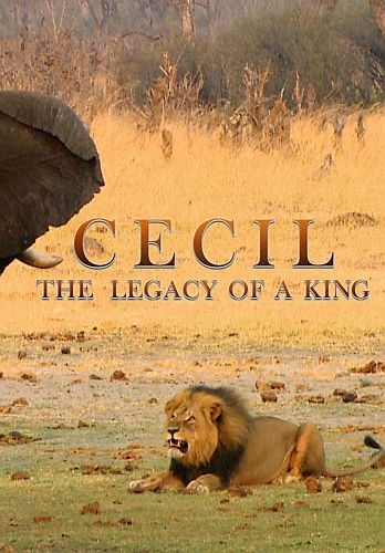 Nat Geo Wild: Сесил: Наследие короля / Cecil: The Legacy of a King
